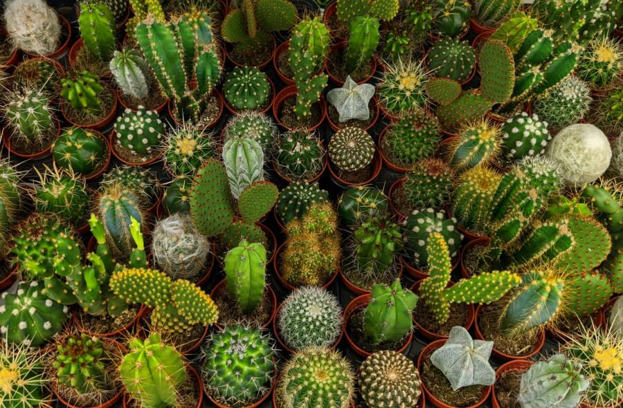 全解析小鍋內鍋厚度差異：加熱速度、保溫時間、耐用度實測對比