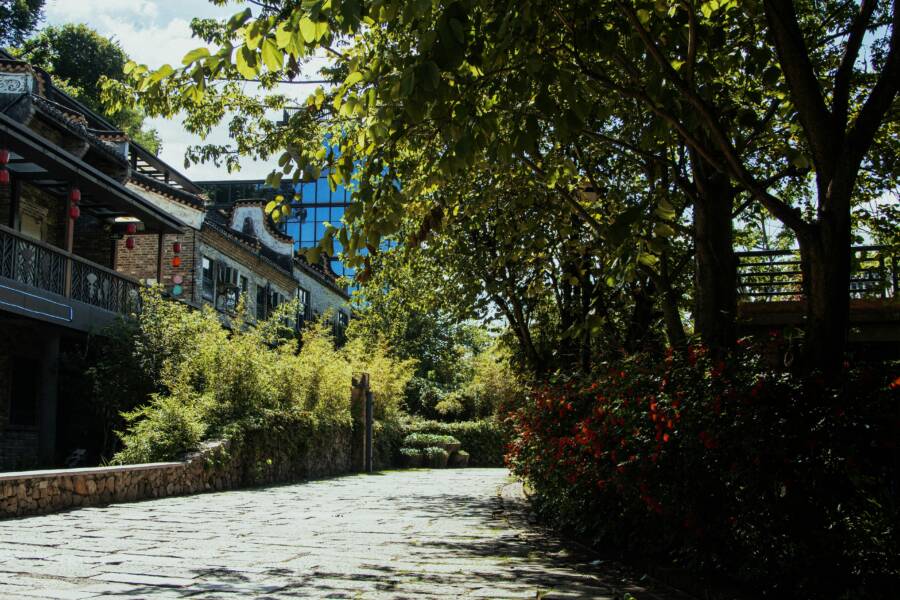 旅行鍋加熱噪音和振動是否正常？異常體徵的安全判斷與解讀