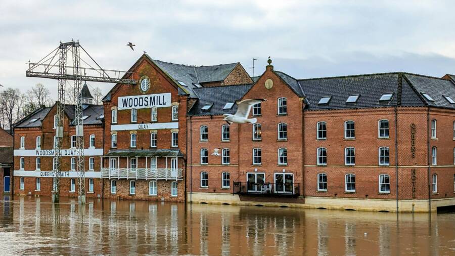 旅行壺容量和最大水位：實用算法教您精確計算，避免溢出