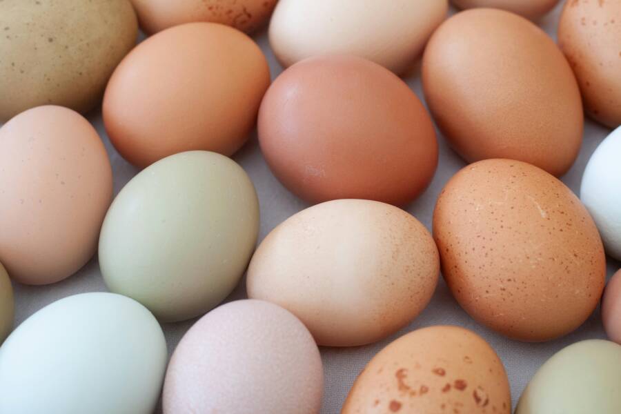 旅行鍋煮雞蛋完整指南：白煮蛋、半熟蛋初學者第一次成功