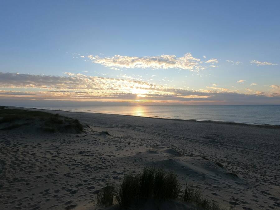 旅行壺適合在國外長期停留嗎？根據做飯頻率判斷是否值得購買的實用指南
