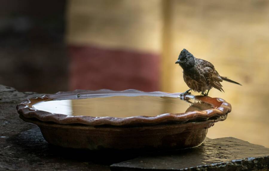 如何查看旅行壺蓋上的通氣孔？排氣不暢會產生哪些問題及解決方法？