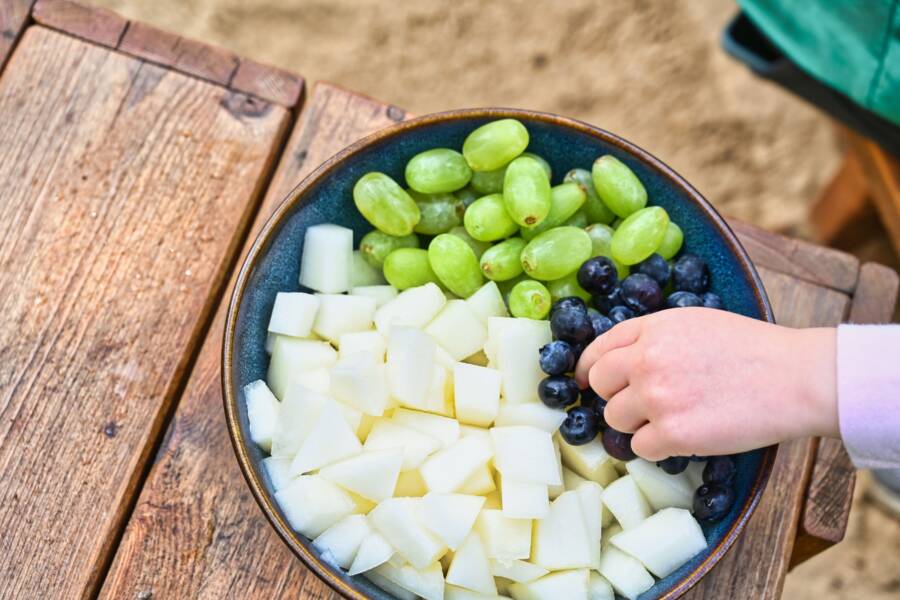 如何存放旅行中剩下的食物（實用保存步驟和食品安全指南）